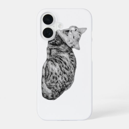 Einfarbiger Tabby-Cat-Fall iPhone 16 Hülle (Rückseite)
