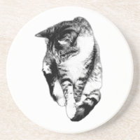 Einfarbiger Tabby-Cat-Untersetzer