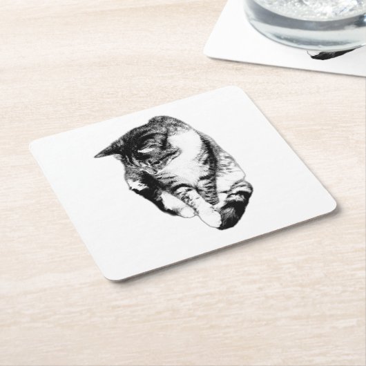 Einfarbiger Tabby-Cat-Untersetzer Rechteckiger Pappuntersetzer (angewinkelt)