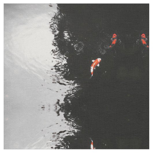 Einfarbiges Koi Stoff (Nahaufnahme)