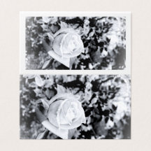 Einfarbiges Rosen-Gästebuch für Hochzeit