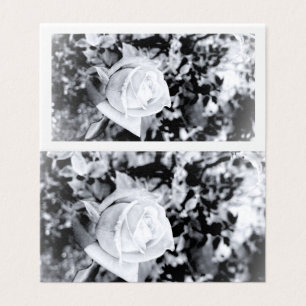 Einfarbiges Rosen-Gästebuch für Hochzeit