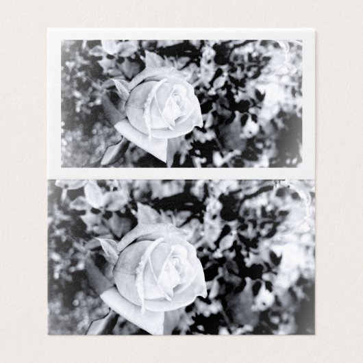 Einfarbiges Rosen-Gästebuch für Hochzeit (Außenseite Aufgefaltet)