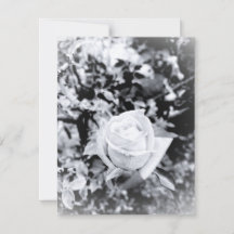 Einfarbiges Rosen-Gästebuch für Hochzeit
