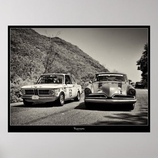 EINFUHR/INNERES POSTER (Vorne)