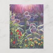 Einführung 2013 postkarte (Vorderseite)