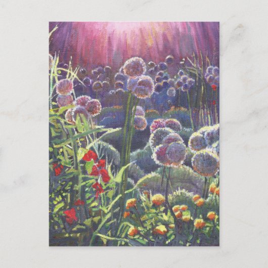 Einführung 2013 postkarte (Vorderseite)