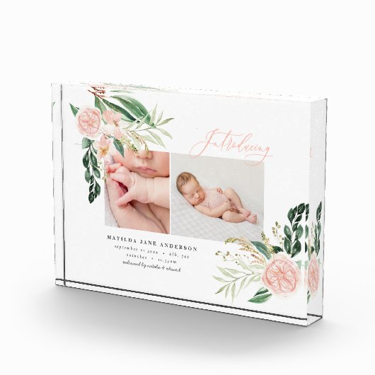 Einführung der blütenrosa Blumengeburt mit mehrere Fotoblock (Rechts)