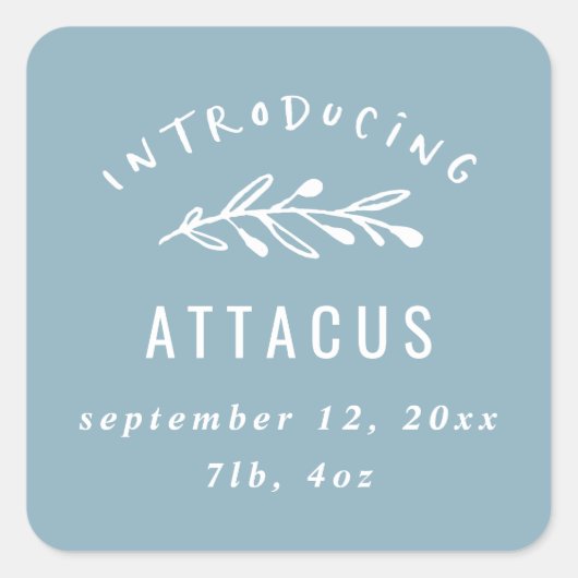 Einführung der Geburtsankündigung einer Zweigniede Quadratischer Aufkleber (Vorderseite)