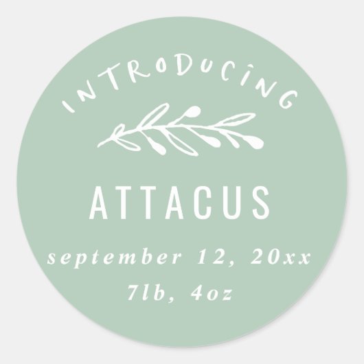 Einführung der Geburtsankündigung einer Zweigniede Runder Aufkleber (Vorderseite)