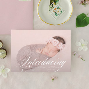 Einführung des eleganten Vollblutjungen Fotos New  Ankündigung