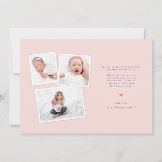 Einführung des eleganten Vollblutjungen Fotos New Ankündigung (Rückseite)