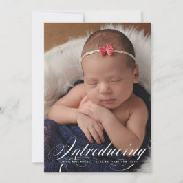 Einführung des eleganten Vollblutjungen Fotos New Ankündigung