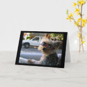 Einführung:JACK! Karte (Gelbe Blume)