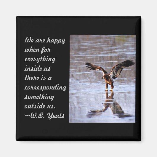 Einführung Magnet (Vorne)