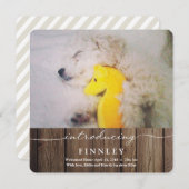 Einführung neuer Haustiere | Kinderankündigung Ankündigung (Vorne/Hinten)