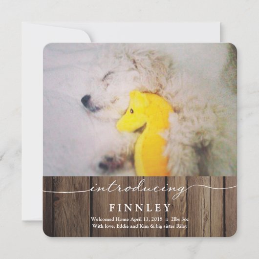 Einführung neuer Haustiere | Kinderankündigung Ankündigung (Vorderseite)