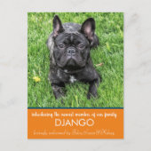 "Einführung" unserer neuen Hundeschrift Postcard Postkarte (Vorderseite)