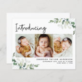 Einführung von Eukalyptus-Foto - Geburtsankündigun (Vorne/Hinten)