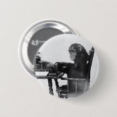 Eingabe des Affen Button (Vorne & Hinten)