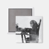 Eingabe des Affen Magnet (Vorderseite/Rückseite)