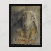 Eingabe - Postvorlage Postkarte (Vorderseite)