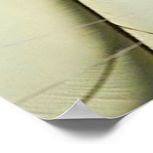 EINGANG POSTER (Ecke)