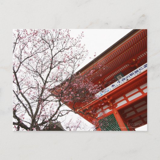 Eingang Postkarte (Vorderseite)