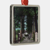 Eingang zu Ansicht CasaTheodore Wagner Silbernes Ornament (Rechts)