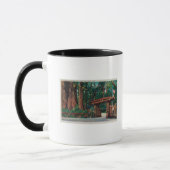 Eingang zum Big Trees Park, Santa Cruz Landkreis Tasse (Links)