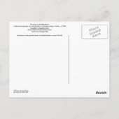 Eingang zum Sanibel Beach Postkarte (Rückseite)