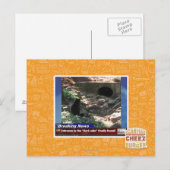 Eingang zur dunklen Seite Postkarte (Vorne/Hinten)