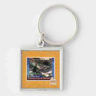 Eingang zur dunklen Seite Schlüsselanhänger