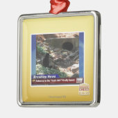 Eingang zur dunklen Seite Silbernes Ornament (Links)