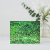 Eingang zur Fee I Postkarte (Stehend Vorderseite)