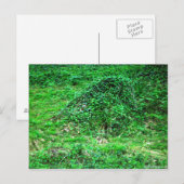 Eingang zur Fee I Postkarte (Vorne/Hinten)