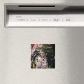 Eingang zur Höhle Magnet (In Situ (Geschirrspüler))