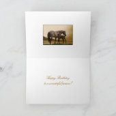 EINGEBEN DES WINDES KARTE (Innenseite)