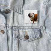 Eingebildeter Bulldoggen-Knopf Button (Beispiel)