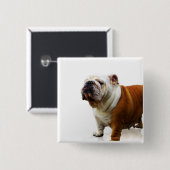 Eingebildeter Bulldoggen-Knopf Button (Vorne & Hinten)