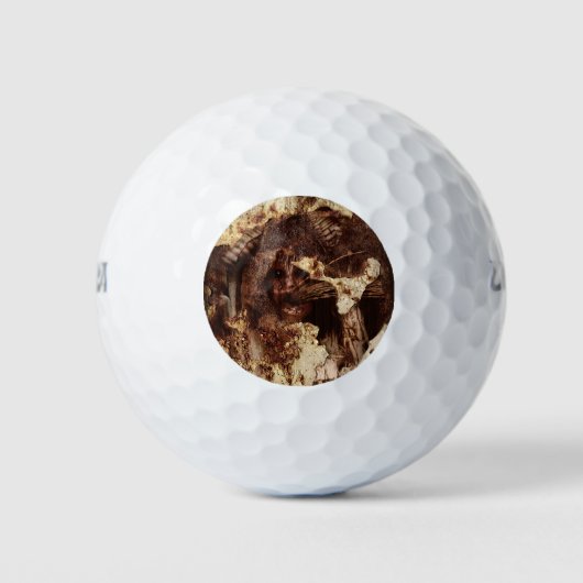 eingefangen golfball (Vorderseite)