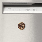 eingefangen magnet (In Situ (Geschirrspüler))