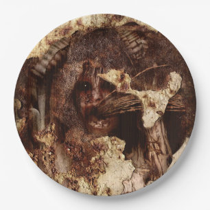 eingefangen pappteller