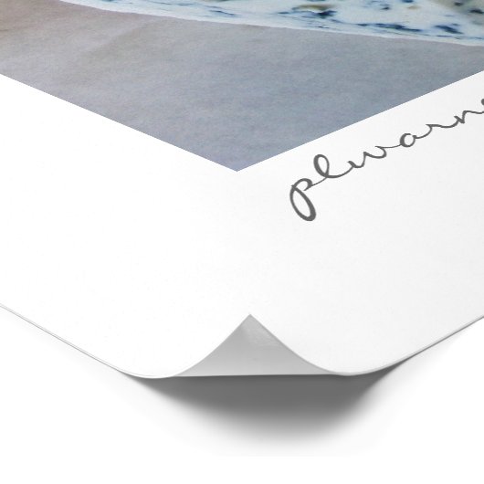 eingeführter Käse Poster (Ecke)