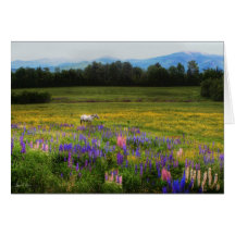 Eingehen in die Ansicht