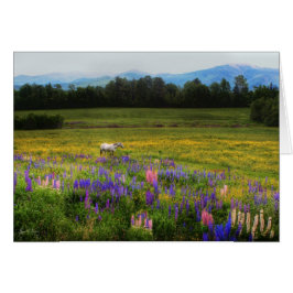 Eingehen in die Ansicht