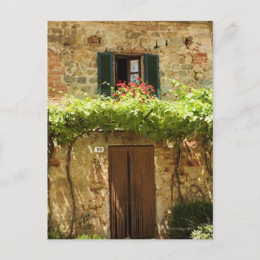 Eingemachte Pflanzen vor einem Gebäude, Piazza Postkarte (Vorderseite)