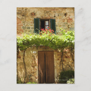 Eingemachte Pflanzen vor einem Gebäude, Piazza Postkarte
