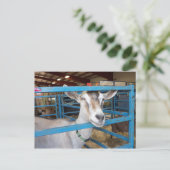 Eingesperrte Ziege Postkarte (Stehend Vorderseite)
