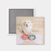 Eingeweide vor zwei Schüsseln mit Hund sitzen Magnet (Vorderseite/Rückseite)